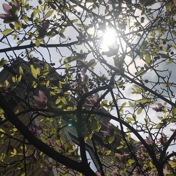 Hi! Meet the Posher - Picture 2 of 3